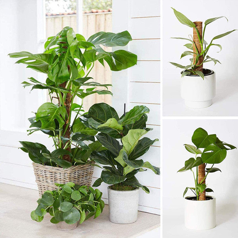Gardening Supplies Potted Plant Climbing Pole