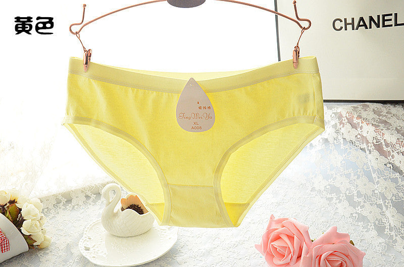 Women's cotton briefs