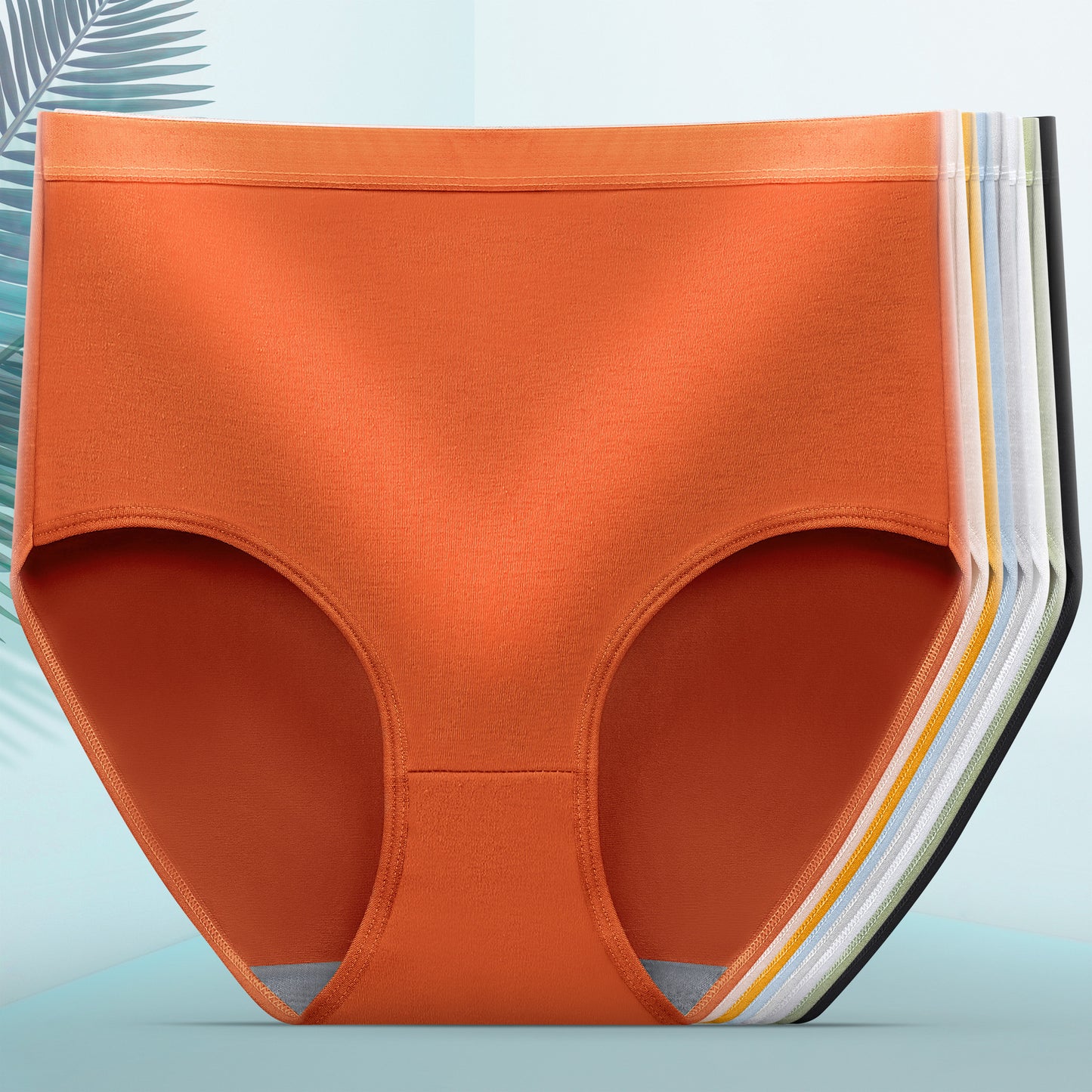 Women's Tummy Tucking Hip Lifting Shaping Panties Set