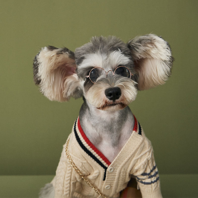Dog Clothes Autumn And Winter Fashion Trendy Brand Sweater
