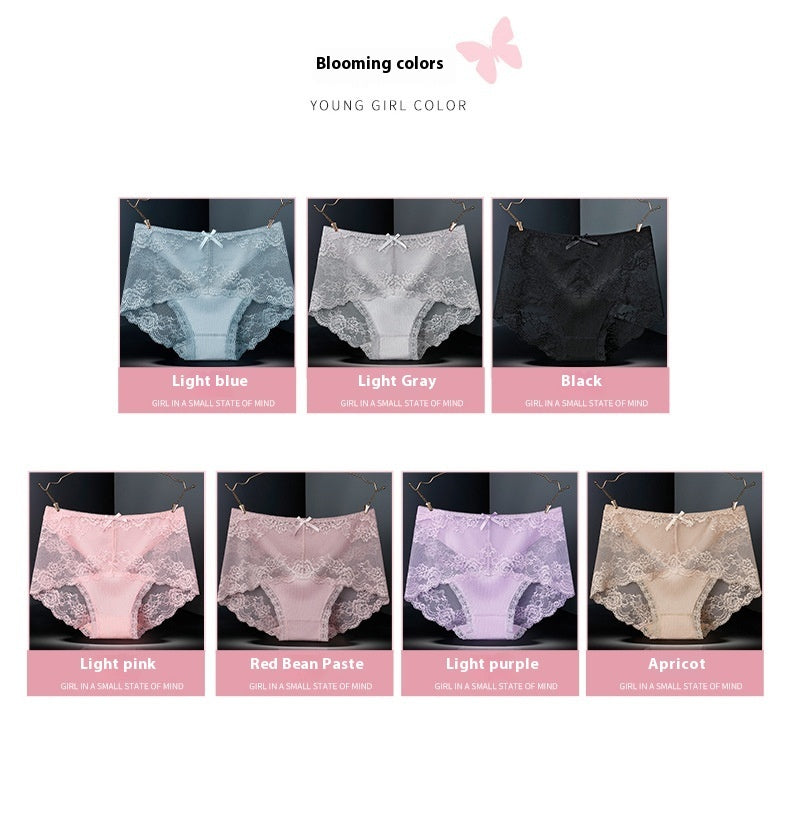 Antibacterial Crotch Sexy Lace Underwear