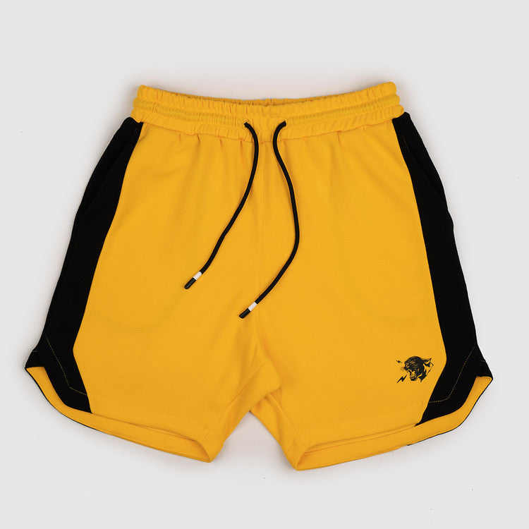Workout Shorts for Men