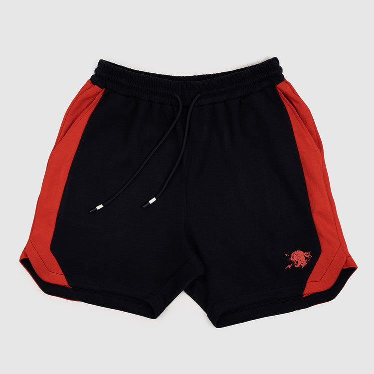 Workout Shorts for Men