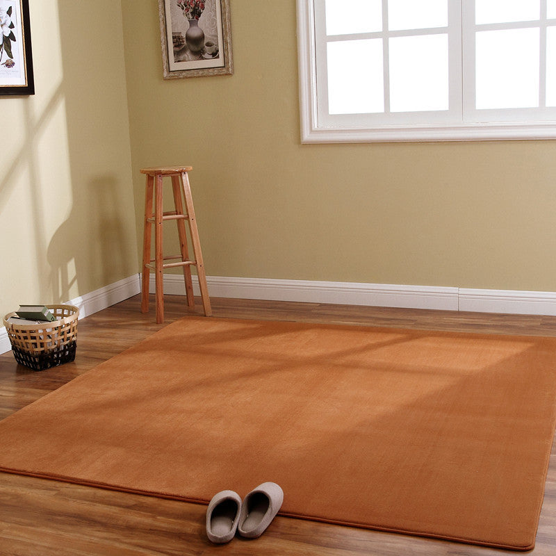 Coral Carpet Family Living Room Study Carpet Balcony Bay Window
