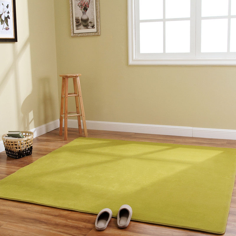 Coral Carpet Family Living Room Study Carpet Balcony Bay Window