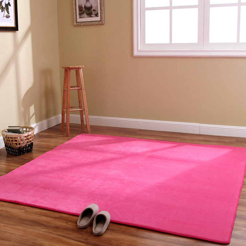 Coral Carpet Family Living Room Study Carpet Balcony Bay Window
