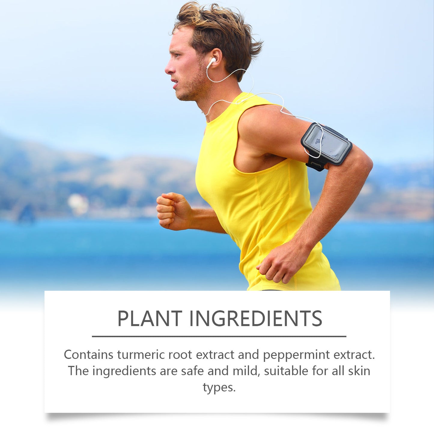 Turmeric Joint Care Spray Mild Ingredients