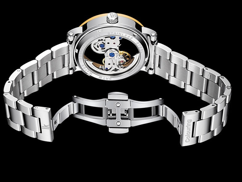 Automatic mechanical watch