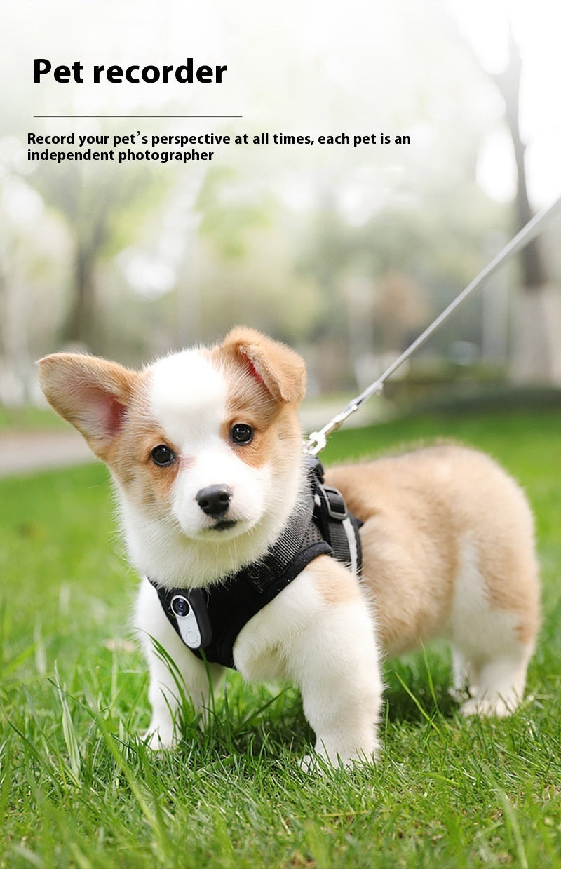 HD Pet Thumb Camera – Outdoor Sports &amp; Magnetic Mini Camera for Pets